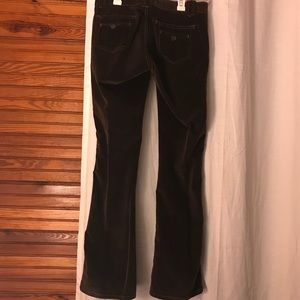 Brown Gap bootcut pants